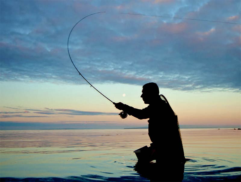 Artikelforfatteren lægger etforsigtigt kast ud over det stille vand. Sådanne forhold er ideelle til at fiske på sete fisk.