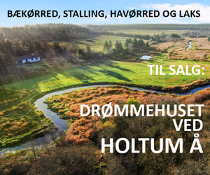 Drømmehuset ved Holtum Å