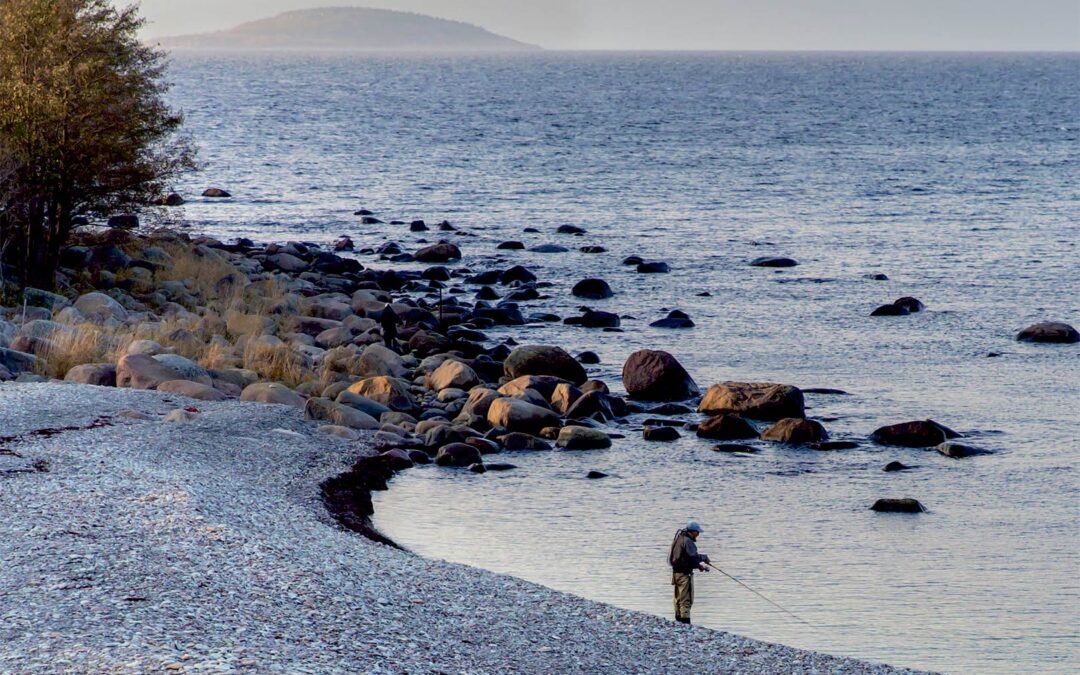 Pladsvariationen på Öland er enorm. Her ses starten af Hornsudden med den giftige bugt i forgrunden.