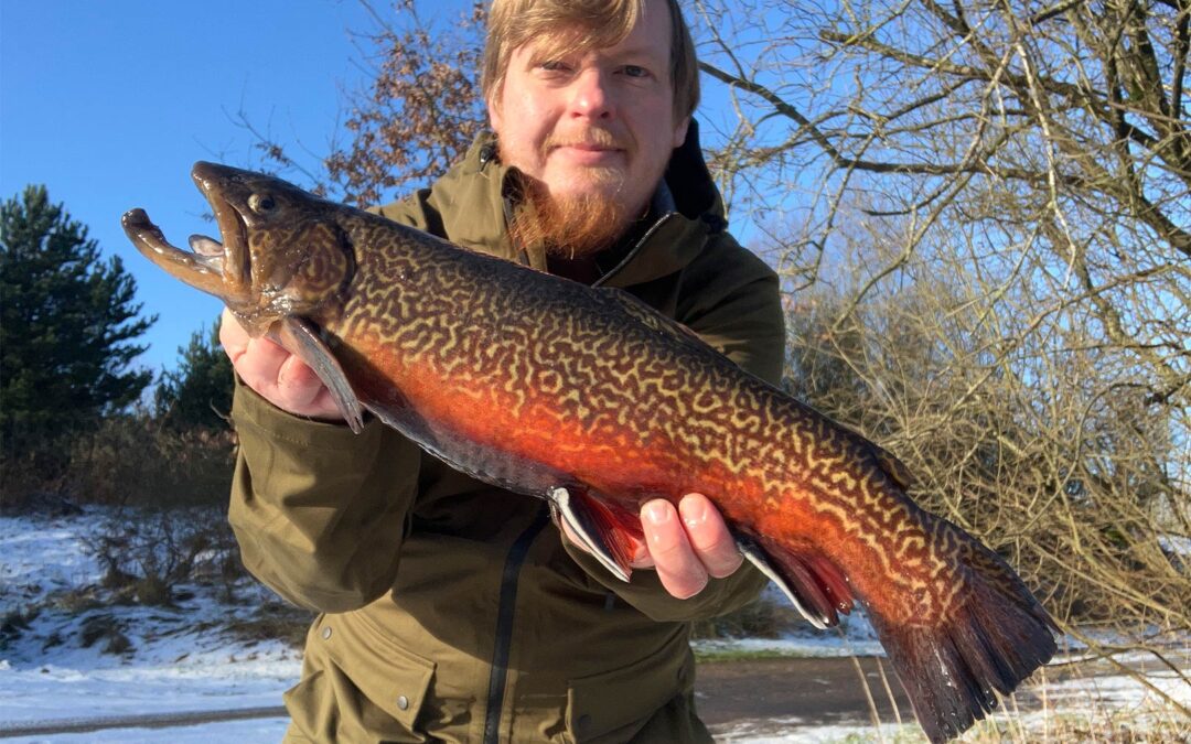 Mark Hemmingsen med en flot tigerørred.