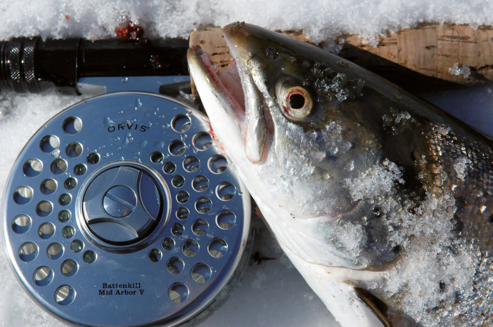 Om vinteren er det let nok at holde de friskfangede fisk kølige.