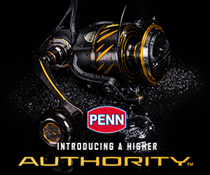 Penn Authority