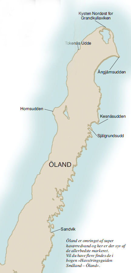 Her kan du se se bekrevne kystørredpladser på Öland.