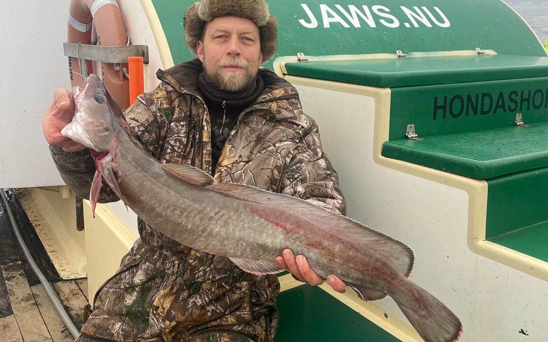 En flot lange på 4,8 kilo fanget fra Jaws på Øresund.