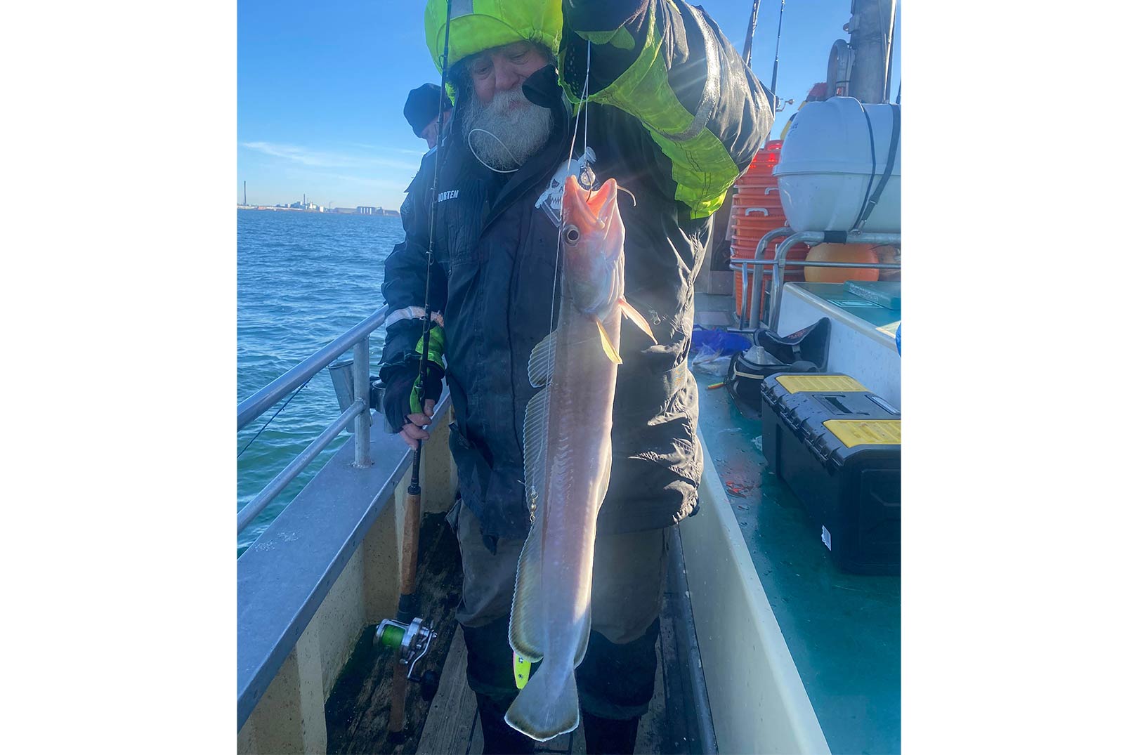 Gennem de sidste par dage er det blevet til fem fine langer fra Jaws- samt en del andre fisk.