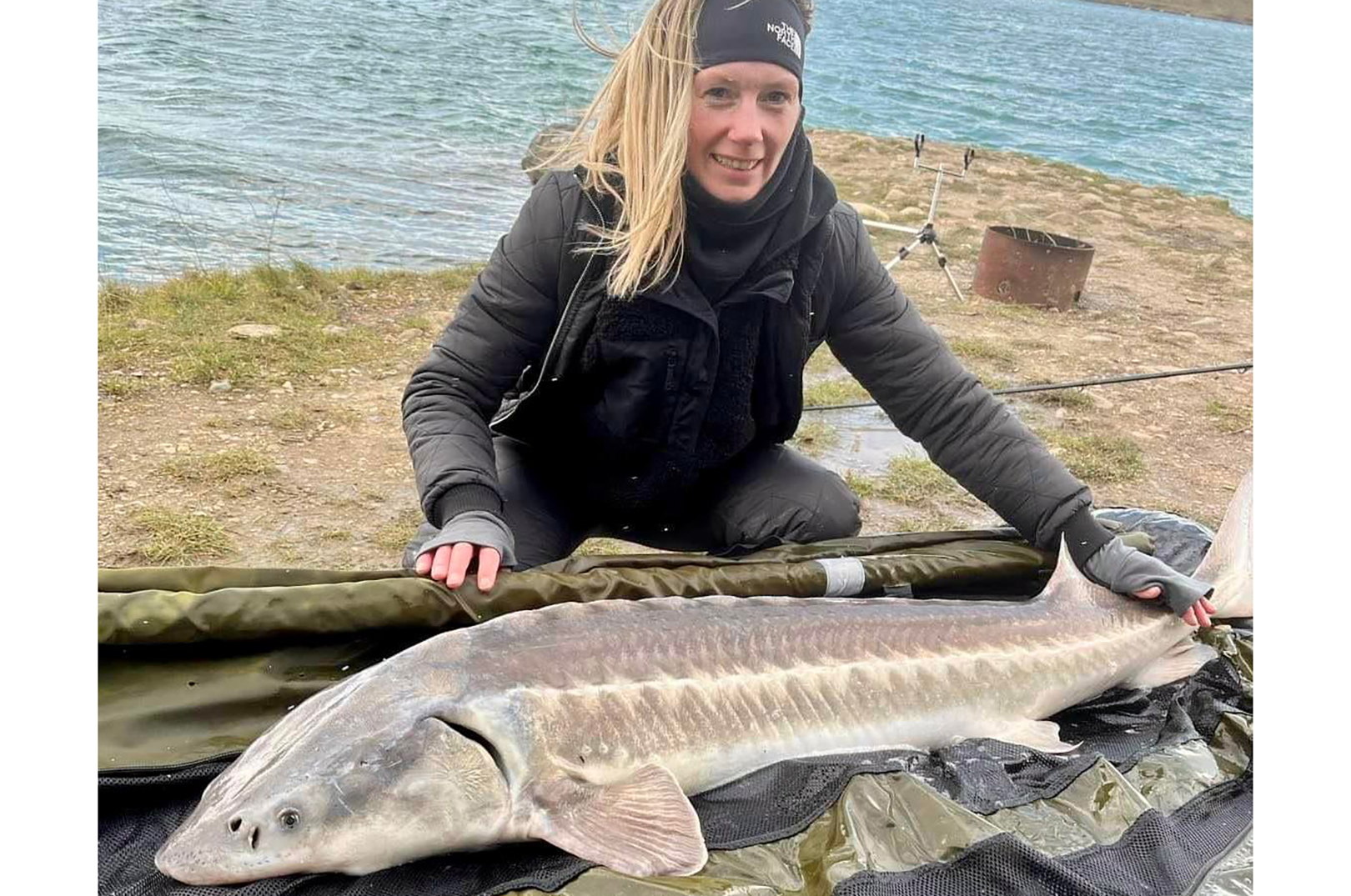 EN KØLIG STØRFIGHT - Fisk & Fri