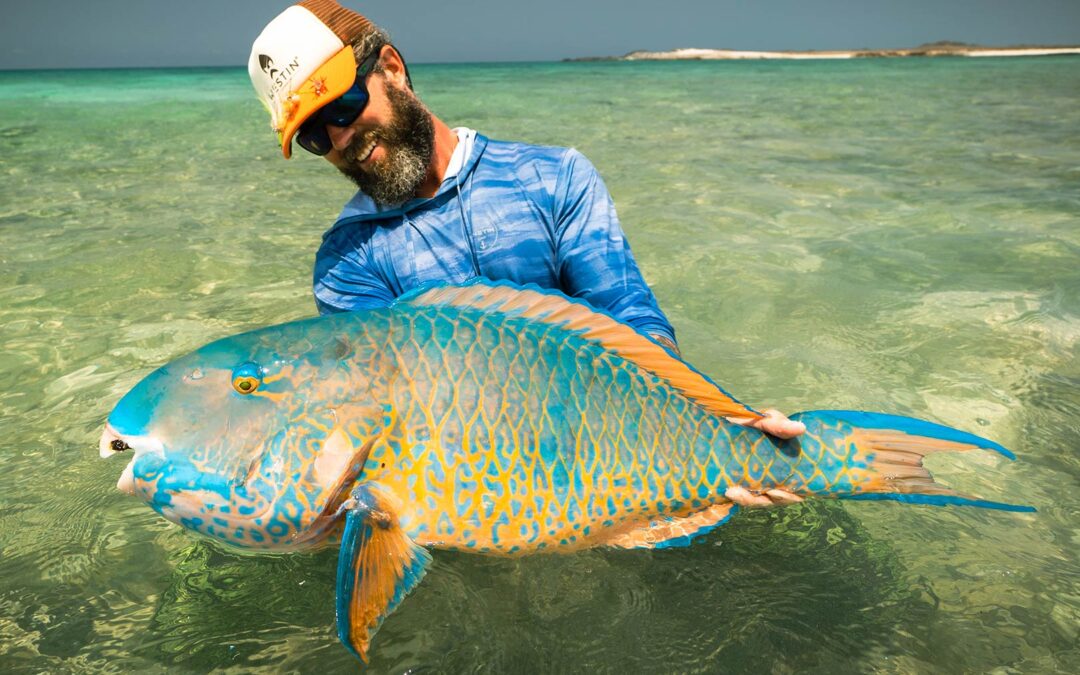 VERDEN RUNDT EFTER PARROTFISH
