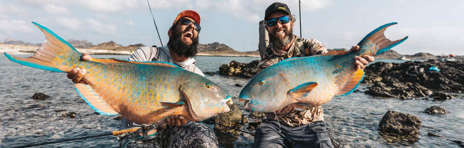 Johan (th) og Nicola (tv) med det nok eneste dobbelthug af blue-barred parrotfish nogensinde.