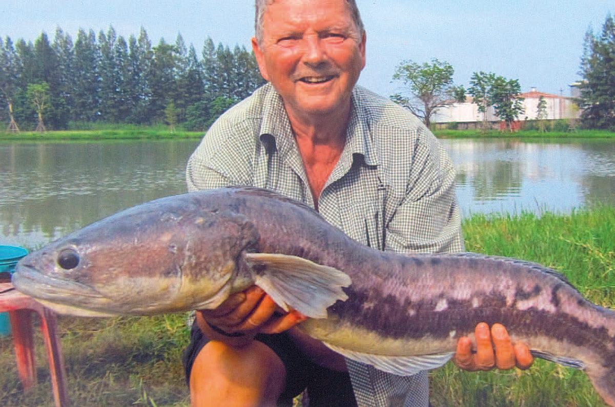Danmarks smukkeste lystfisker– ifølge ham selv – Allan Riboe – med en flot thailandsk snakehead.