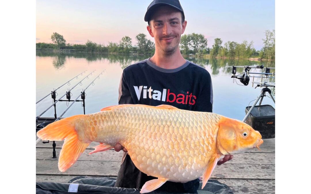 Nick Yndal med sin flotte koikarpe fra World Carp Lake i Italien