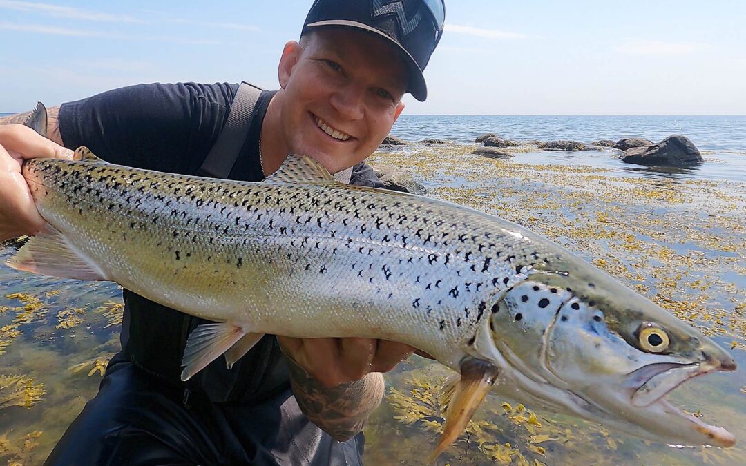 David Søææonmg Johnsen med sin flotte 64 cm havørred, der huggede på Westins Sømmet.