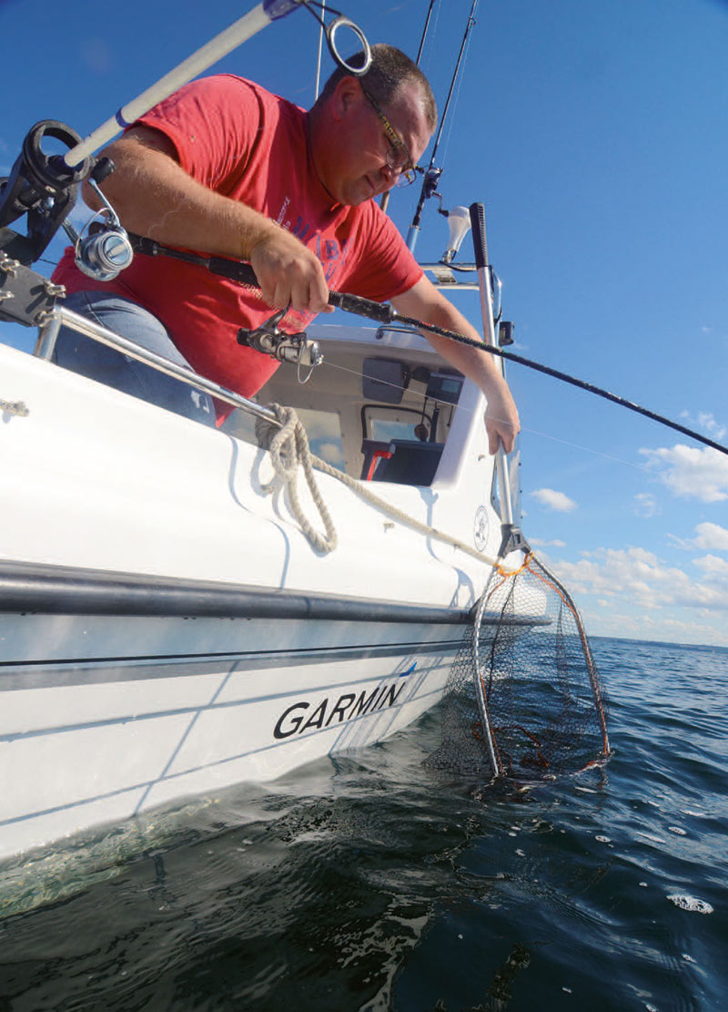Et net er en god ide til sikkert atlande de største makreller på det lette grej.