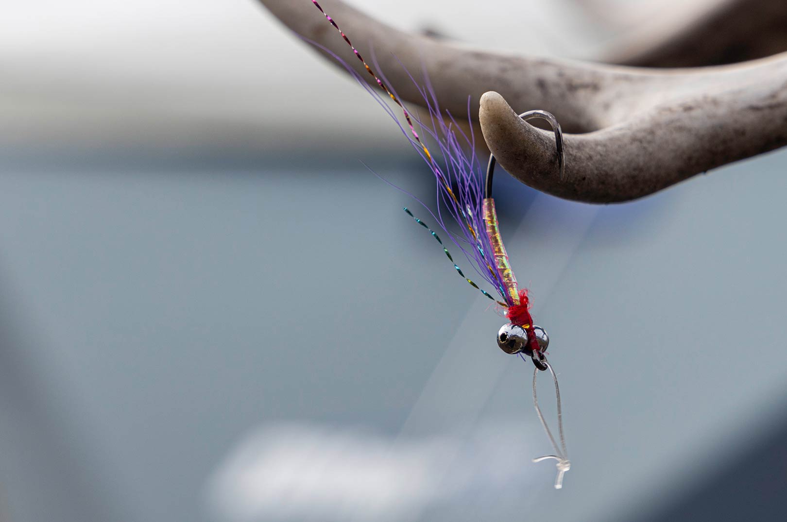 Five Hair Fly er en af de bedste fluer til fiskeriet efter fjeldørred.