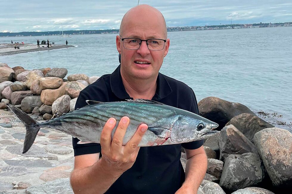 pelamiden-fra-helsing-r-og-tips-til-fiskeriet-fisk-fri