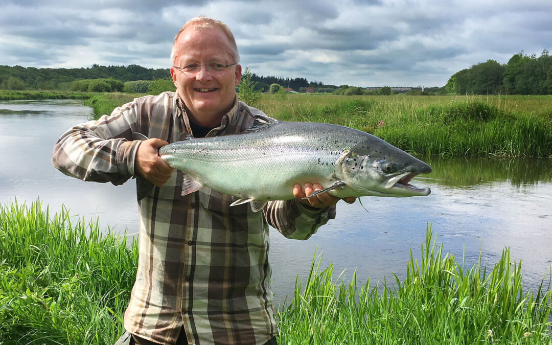 Steen Thomsen - formand for Varde SF - med en smuk laks fra åen.