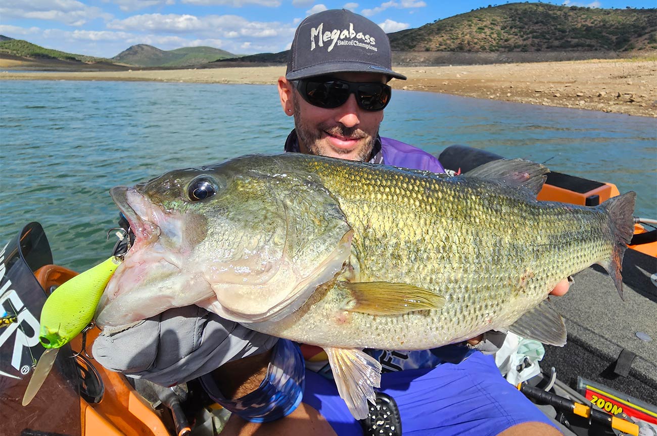 Raul med en flot bass. Øverst Johnnys vend Kim Rygaard med sin flotte andalusiske barbe.