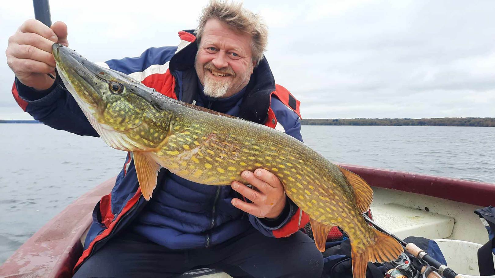 Morten Wandall med en smuk gedde - vansiret af en sulten skarv.