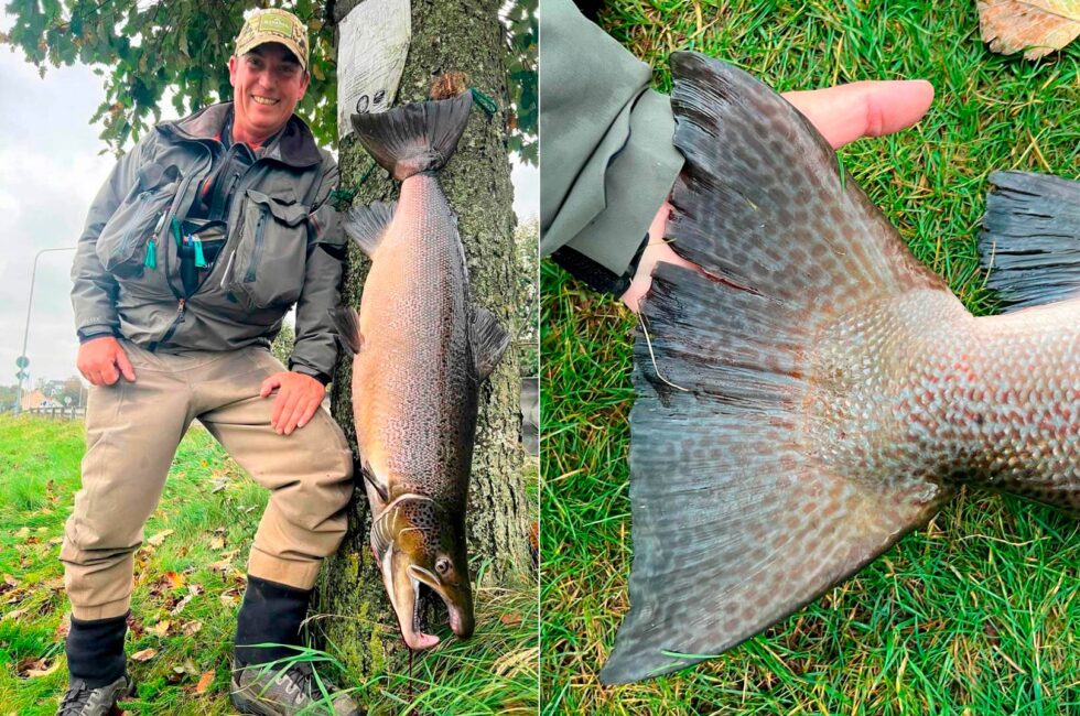 FLOT LAKS FRA LAGAN PÅ SPINFLUE Fisk & Fri