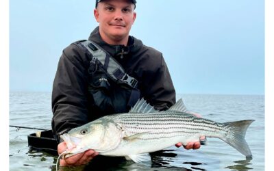 EFTER STRIPED BASS VED CAPE COD