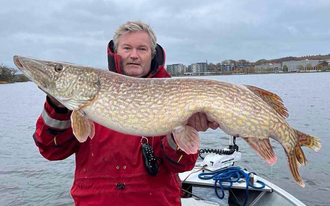 Jan Falgren fra Rokkerne med sin flotte gedde