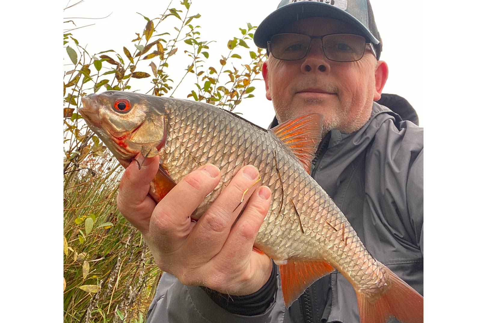 MASSER AF FLOTTE SKALLER I LILLEBITTE SØ - Fisk & Fri