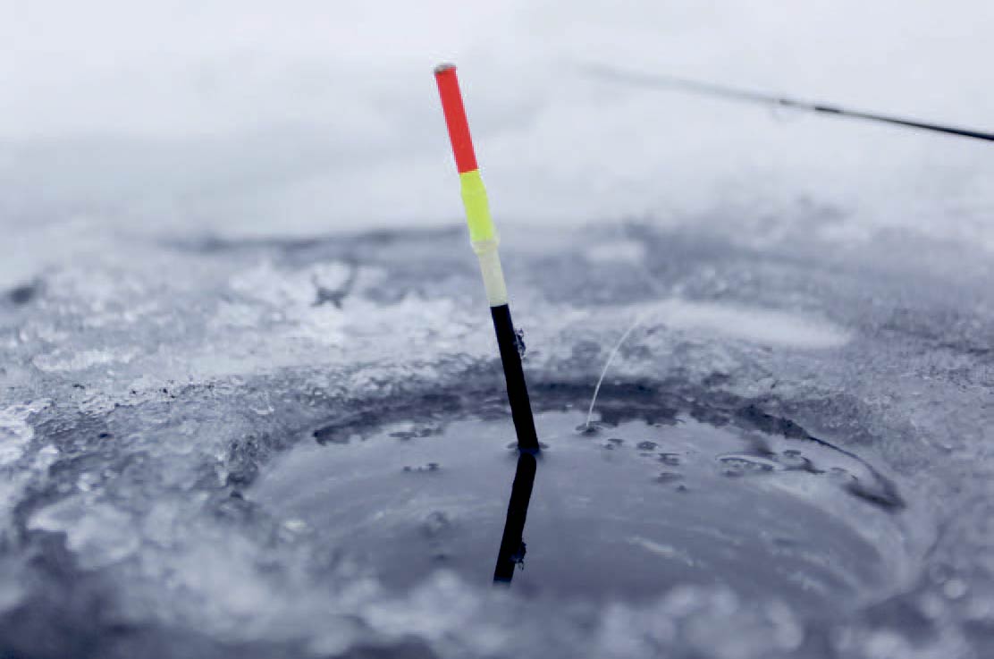 Et penneflåd der belastes, så toppen er synlig over isen, er den bedstemåde at præsentere sin agn på ved isfiskeri. Det er let at måle den præcise dybde, og så indstille dybden med flåddet, så agnen fisker 25-30 cm. over bunden. Agn som rejer, majs, små stykker sildefilet, brød eller powerbait er alle effektive, og så er de nemme at skaffe