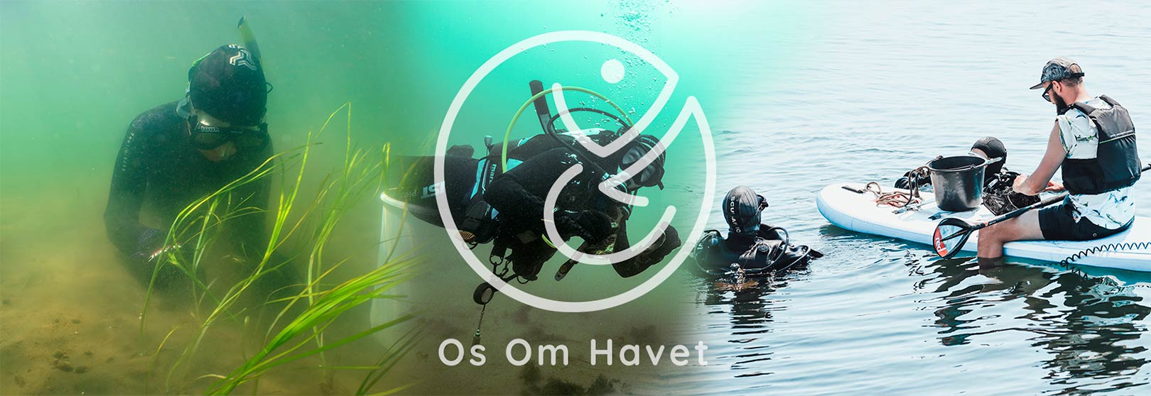 miljøorganisationen ”Os Om Havet” ålegræs Øresundsakvariet