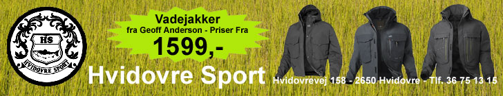 Hvidovre Sport