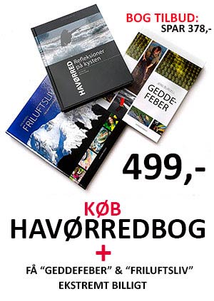 Bogtilbud Geddefeber, havørred, friluftsliv