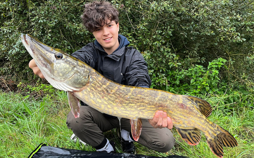 Juniorerne i Kolding fisker efter mange forskellige arter - også gedder.