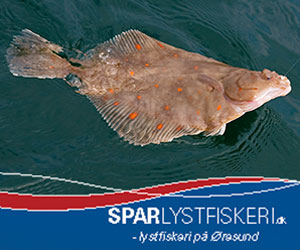 Spar Lystfiskeri