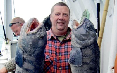 HAVMEDE: FORÅR PÅ HAVET