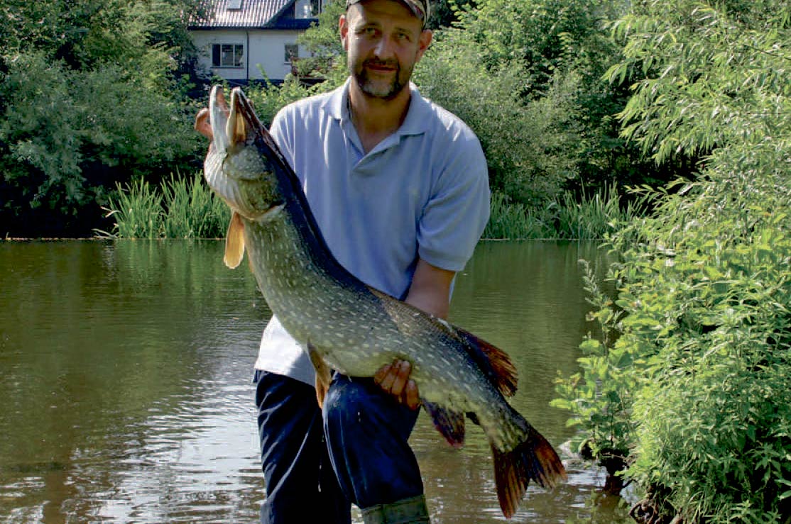 Michael Iverssholt dyrker geddefiskerieti Odense Å i stor stil. Hen over sommeren 2010 landede han ikke mindre end otte gedder over 10 kilo i åen. Alle fiskene blev naturligvis genudsat.