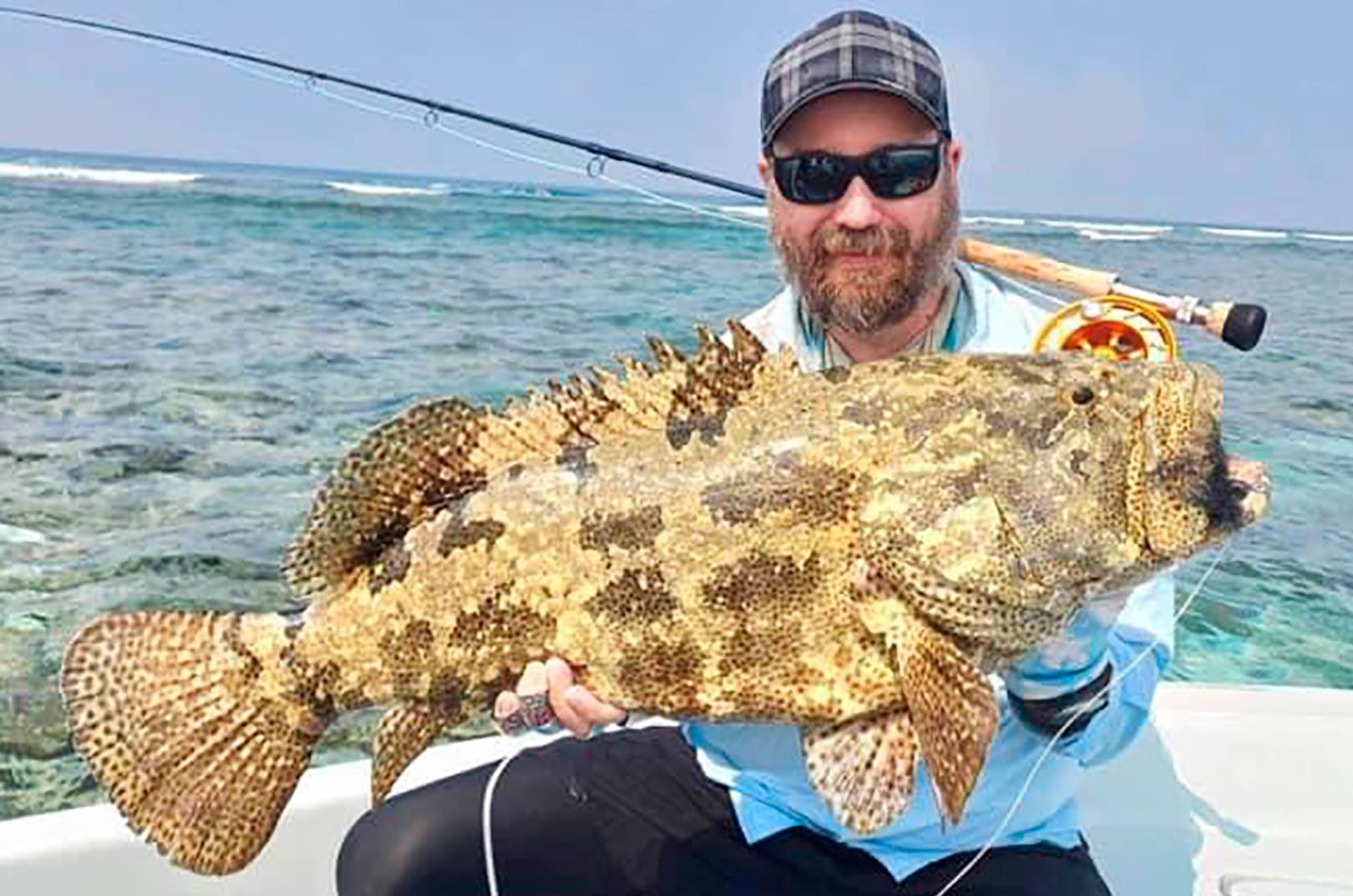 På fluefisketuren til Maldiverne blev det også til flere sjove og lidt anderlledes fisk - fx denne ekstretm godt camouflerede grouper.