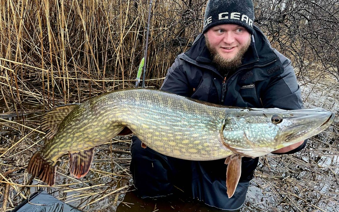 Mads Davidsen med en af sine flotte gedder taget på Savage Gears Whitefish Shad.