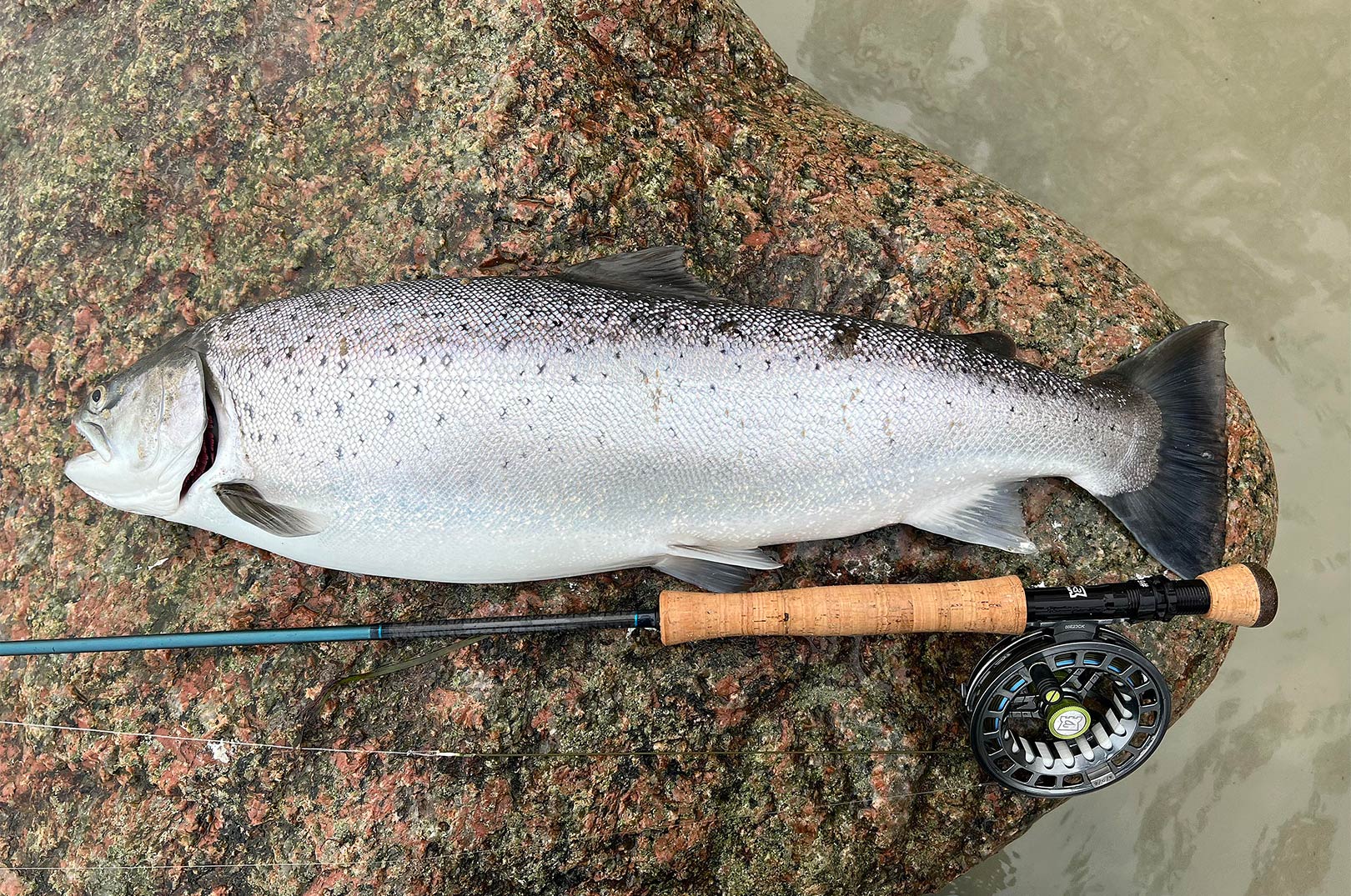 Morten Jensen med en af dagens superflotte blankfisk taget på fluestangen.