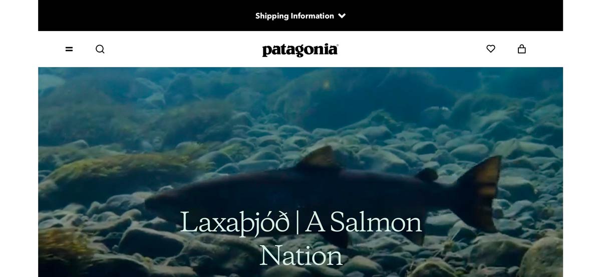 Patagonias fil "A Salmon Nation" er et tankevækkende bekendskab - samt et nødråb om at få stoppet de islandske havdambrug inden det er for sent.