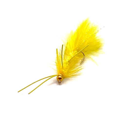 Det var en gul Wolly Bugger som denne der gav fisk, da Fisk & Fri var til premiere ved Nybroån.