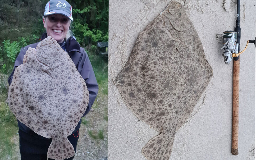 Bettina Jørgensen med sin flotte pighvar på 3,3 kilo fra Vestkysten.