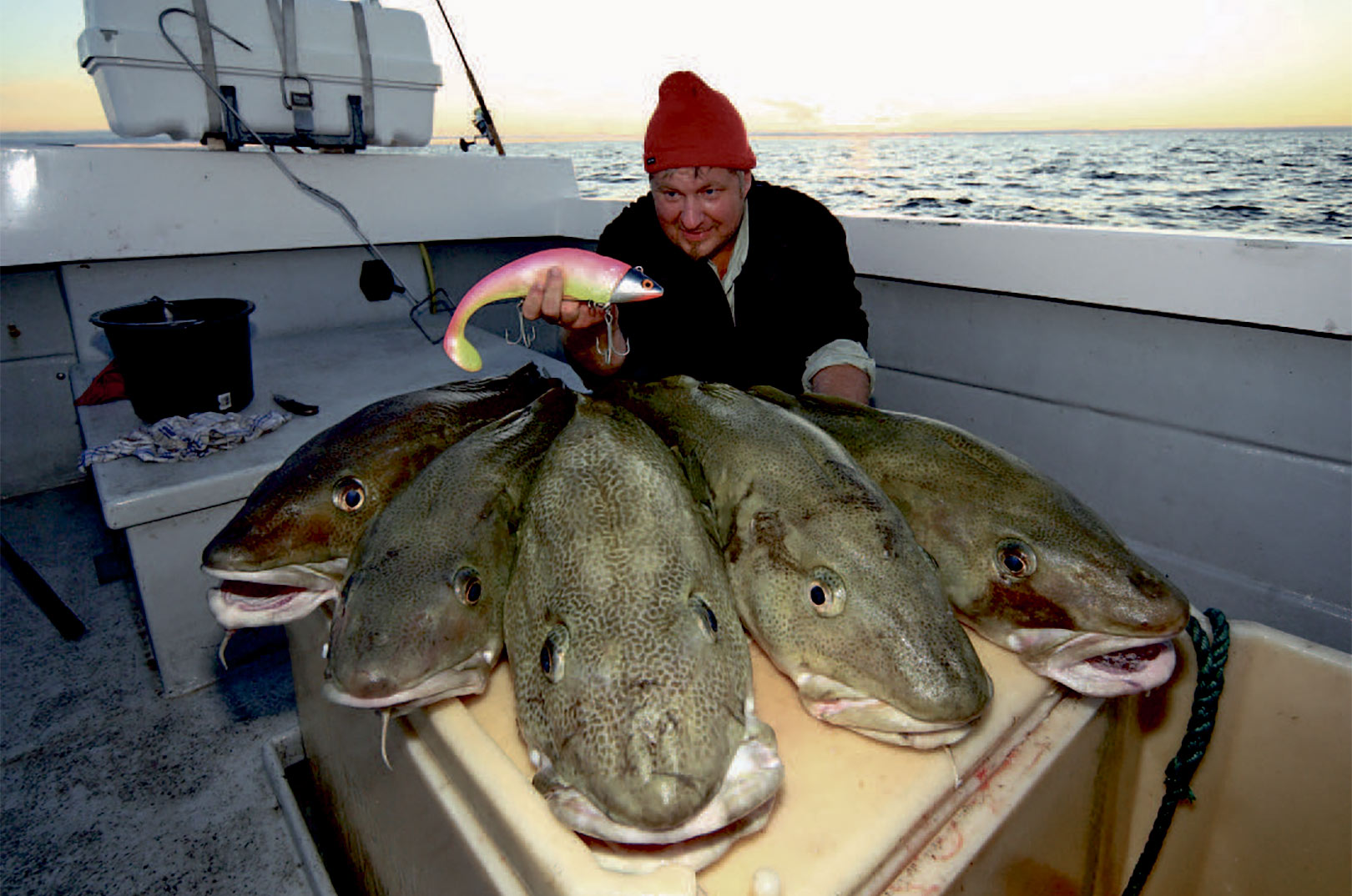 Vi fiskede med forskellige formerfor gummidyr på forskellige former for jighoveder – perfekte agn til de islandske fisk.
