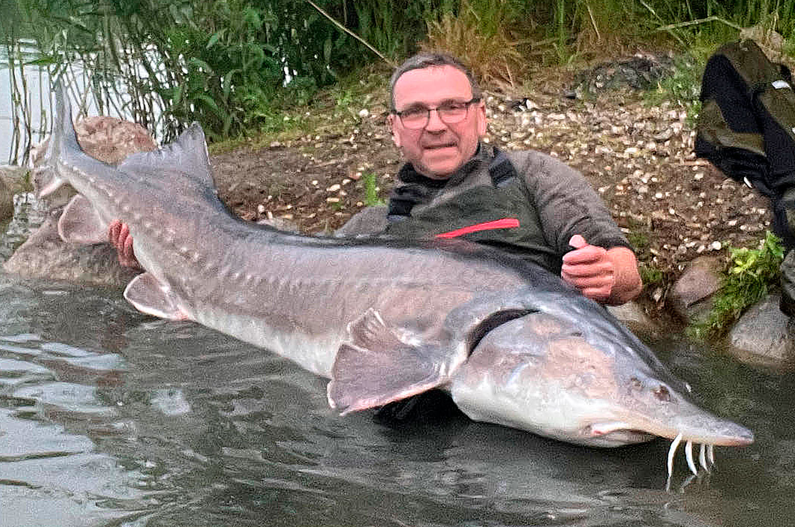 BELUGASTØR: LANGE ARME HOS SIMONS - Fisk & Fri