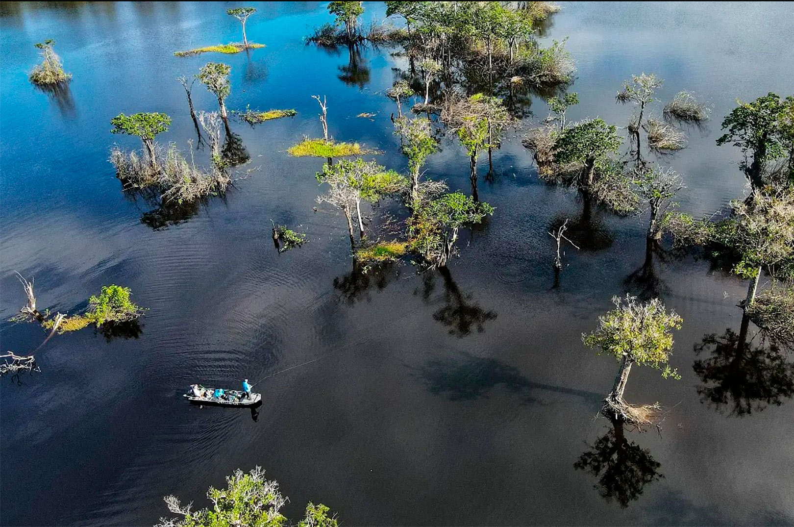 Fiskeriet i Amazonbaas byder ikke blot på eksotiske fisk æ men også fantastiske naturoplevelser.