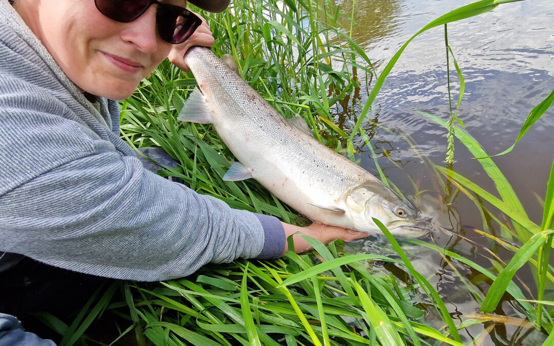 Kirstine Pedersen med sin flotte havørred fra Storåen.