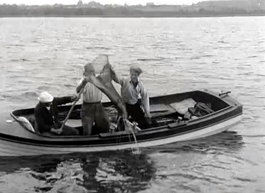 6.Fra filmen da den store gedde nettes. Manden med fangstnettet er Otto Cederholm, Knud Birch i midten, mens den unge mand til højre formodentlig er Aage Birch. Knud Birchs søn som senere blev en meget kendt sejlsportsmand. Selve indslaget varer 32 sekunder og kan findes på dr.dk/bonanza.