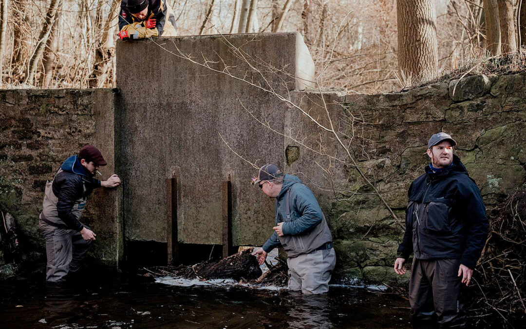 Sidste år gennemførte Vandpleje Bornholm et vandplejeprojekt i Læså i samarbejde med Destination Bornholm og en gruppe lystfiskere under eventet Bornholmsession.