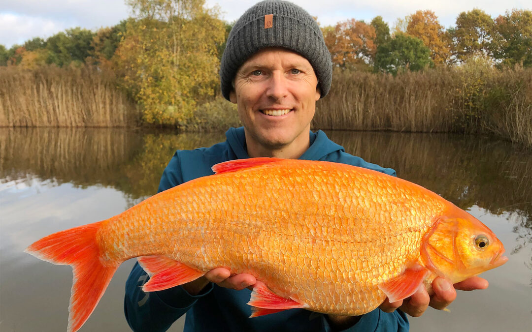 3,0 kilo vejede guldrimten som Henrik Carl fangede på flådfisket orm