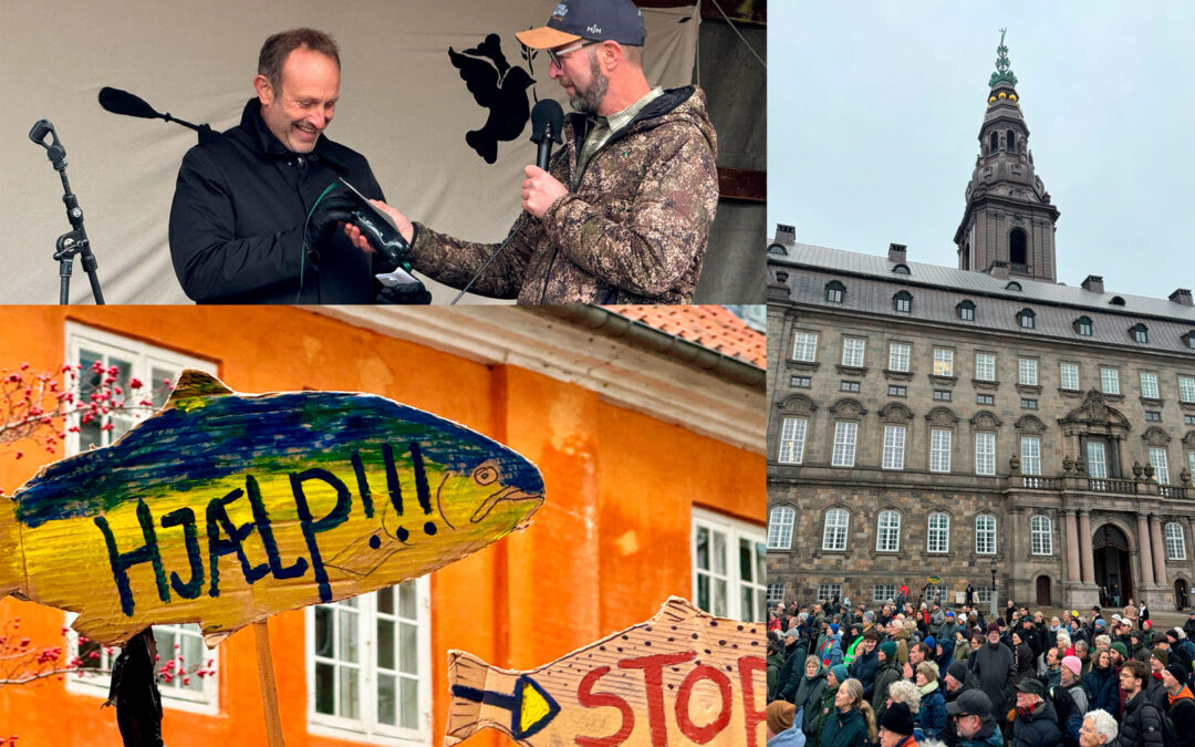 DEMO: VI SLÅR RING OM BORGEN