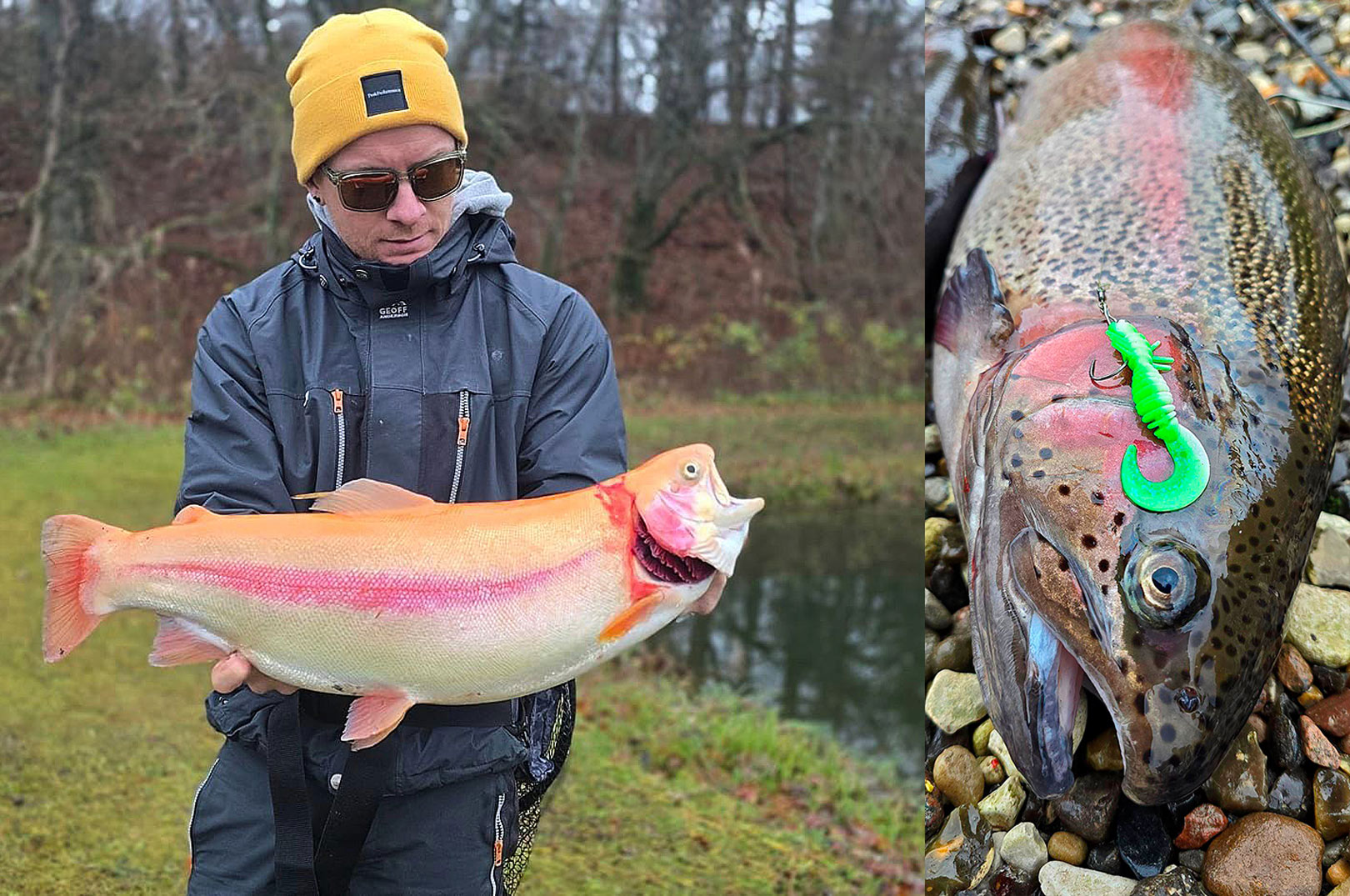 POWER: SUCCES MED NYE POWERBAITDYR I PUTTEN - Fisk & Fri