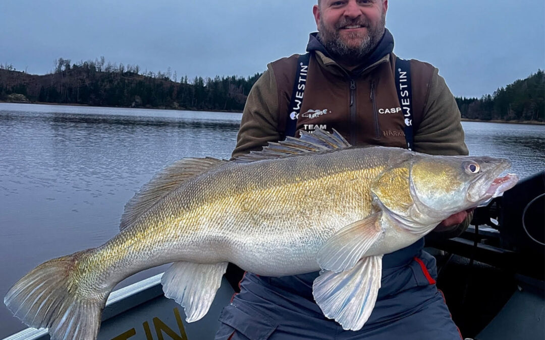 Casper Christensen med sin fantastiske 14,4 kilos uofficielle svenske rekord sandart.