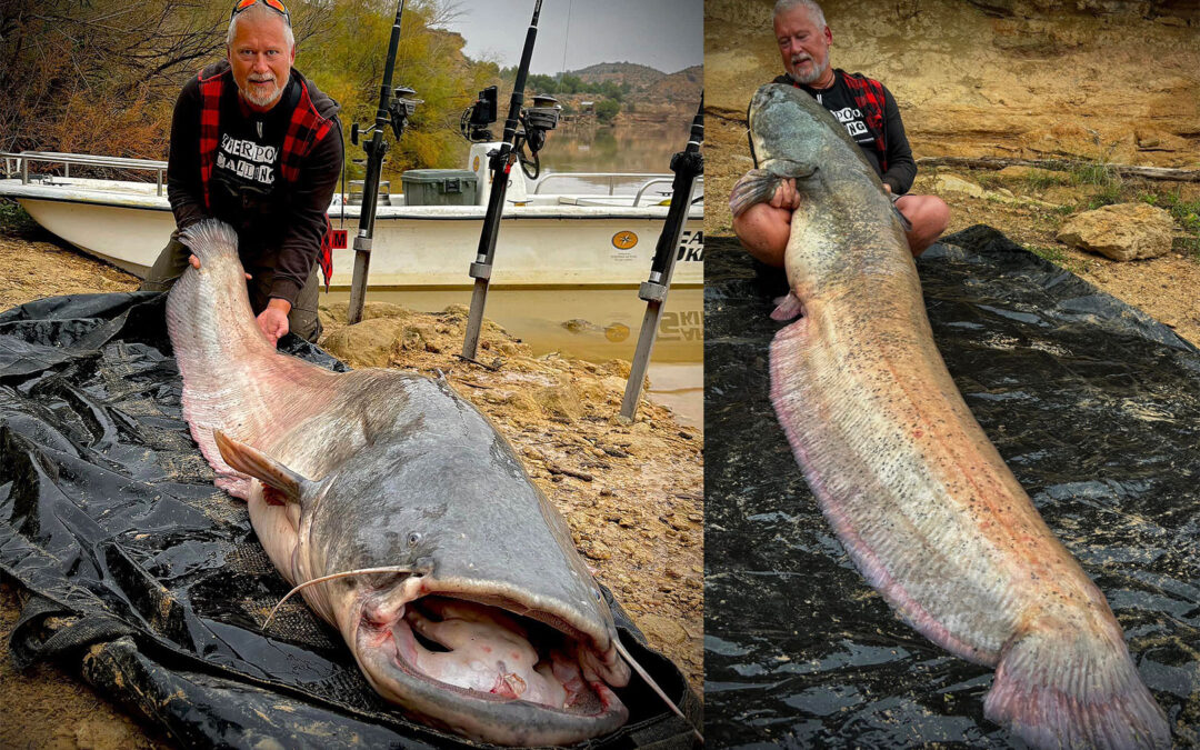 Niklas Graberg med to af sine flotte maller fra Ebro i Spanien.